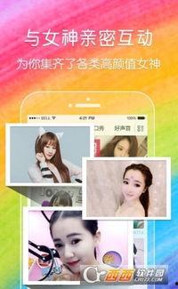 成人看的直播预告APP,成人专属预告APP，精彩内容提前一览